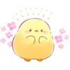 soft and cute chick 19