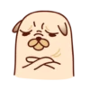 Sundae the Pug 24