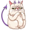 Pretty Cat 20