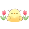 soft and cute chick 21