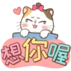 Money Cat 13