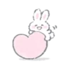 White Bunny 20