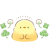 soft and cute chick 22