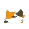 Cats warriors 12