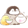 soft and cute chick 24