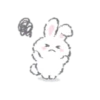 White Bunny 22