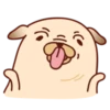 Sundae the Pug 25