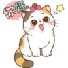 Money Cat 14