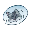 Cats warriors 13