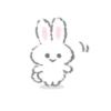 White Bunny 23