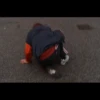 TONYLIFE 22