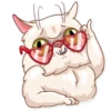 Pretty Cat 26