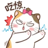 Money Cat 15