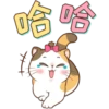 Money Cat 16