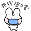 Bubu 11