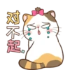 Money Cat 17