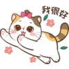 Money Cat 18