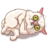 Pretty Cat 29