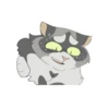 Cats warriors 17