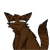 Cats warriors 19