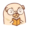 Sundae the Pug 30