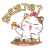 Money Cat 20