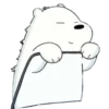 WBB - Ice Bear 30