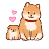 (₁