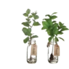 green & white aesthetic 5
