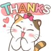 Money Cat 6