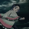 Shinobu kocho 8