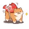 Soft and cute shiba inu 9