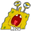@ada fooiose
Meow
