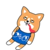 OWOH Dog 8