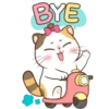 Money Cat 9