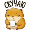 hamster_senia 13