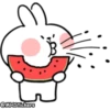 Spoiled rabbit summer 8