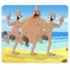 Werner 5