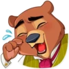 Tood Bear 8
