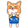 OWOH Dog 9