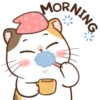 Money Cat 12