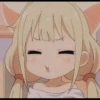 Hamster 17