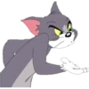 WhatsApp 15