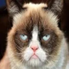 Very strange animals 10