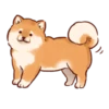 Soft and cute shiba inu 16