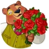 Tood Bear 14