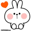 Spoiled rabbit 20