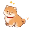 Soft and cute shiba inu 19