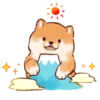 Soft and cute shiba inu 20