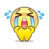 Mr.Emoticon @PrinceTheKilleR 25